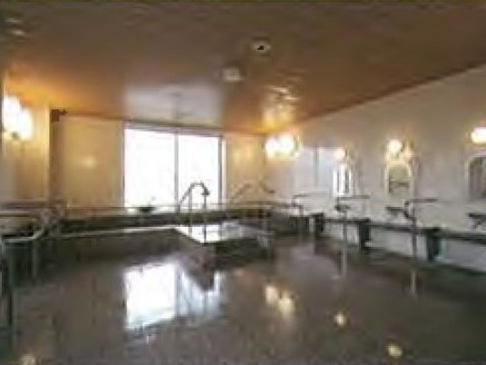 大浴場を写した写真の様子。手すりが付いているので安全な環境が保たれている