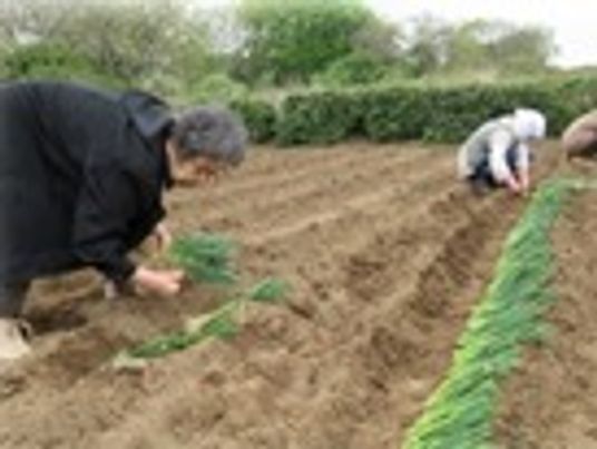 広い畑で土いじりをしている様子。なにかを植えて整備している様子が写っている