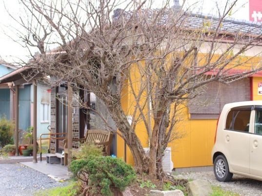 オレンジの外壁が印象的な平屋建ての建物。草木が植えられ、車も止められている。