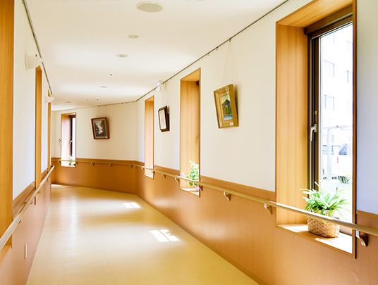 観葉植物や絵画が飾られている廊下は明るい雰囲気。たくさんの窓があり、手すりも設置されている。