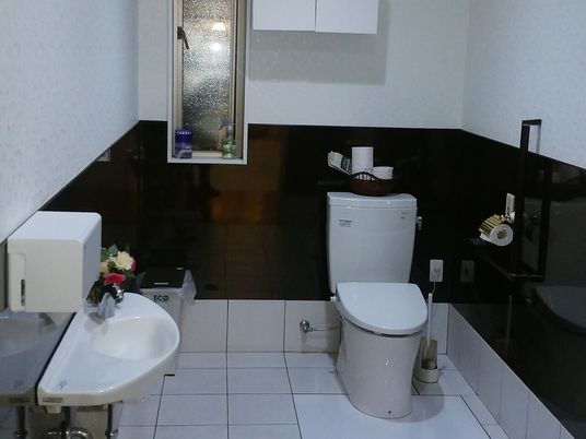 広いトイレには手洗い場もあり、花も飾られている。壁にはトイレットペーパーホルダーや手すりがある。