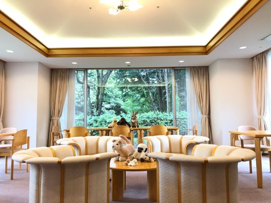 柔らかな表情で付き添う人とほほ笑む高齢者。外に出て自然を眺めている様子がうかがえる。自然な笑顔を印象的。