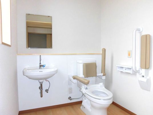 手すりがついたトイレの様子。壁に緊急コールとエル字型の壁がついている様子