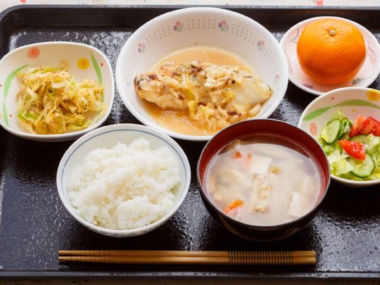 黒いトレーの上には白いご飯に汁物、サラダや野菜の煮物、魚料理にミカンが添えられている。