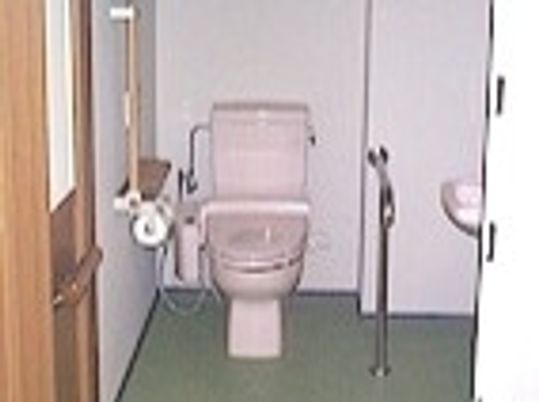 ピンクの便座が付いたトイレの壁にはトイレットペーパーホルダーや手すりが付いている。