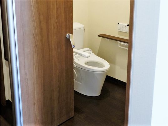 シックな色合いのドアの向こう側にモダンなデザインのトイレが見えている様子