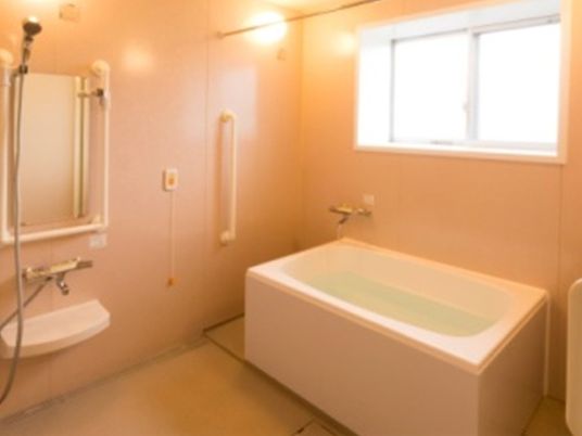 白を基調とした浴室。右手に窓、その下に白い浴槽。浴槽左手には手すりと呼び出しボタン。画面左側には鏡と蛇口、シャワーがある。