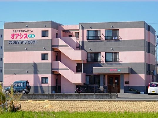 建物全体図。建物の色はピンクとグレーで太い幅の横縞模様。建物の左上と玄関の上には屋根ホーム名がある。