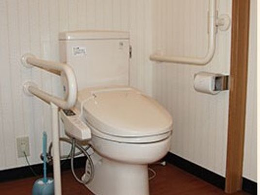 トイレの両サイドに手すりが付き、トイレットペーパーホルダーもあり、温水便座が付いている。