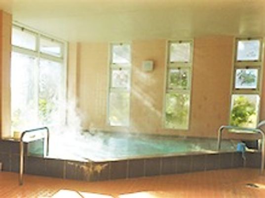 施設内に用意されている大浴場の様子。手すりがついたプールのような形