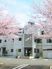 白を基調とした３階建ての建物。玄関には階段トスロープがあり、桜の花が満開になっている。