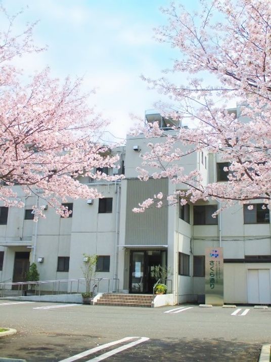 白を基調とした３階建ての建物。玄関には階段トスロープがあり、桜の花が満開になっている。