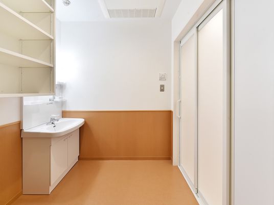 広い脱衣所には大きな洗面所や収納棚があり、浴室へのドアは引き戸となっている。