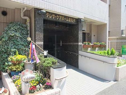 マンションのエントランス部分。植物が配置してある気持ちよいスペース