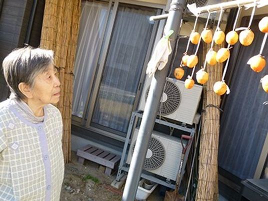 干したばかりの干し柿を眺めている高齢女性。日当たりのいい庭のような場所で。