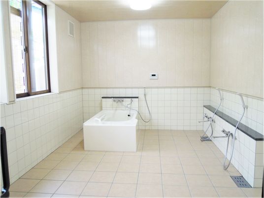 一人用の浴槽が置かれた浴室。手すりやシャワーも設置されている。