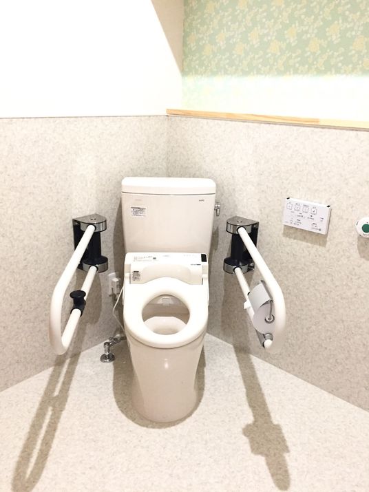 トイレの両サイドに手すりが付き、壁には操作パネルと呼び出しボタンが設置されている。