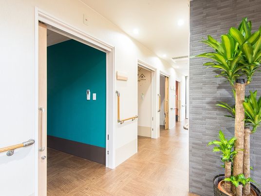 鮮やかな緑色の壁がある施設内の居室の様子。手前に観葉植物が置いてある様子が分かる