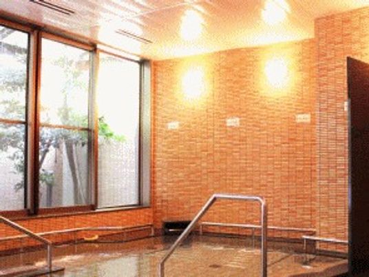 手すり付きの施設内の浴槽の様子。温泉や銭湯のような心地よい空間が写っている