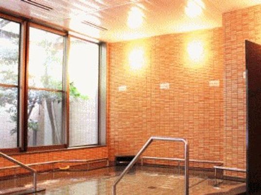 手すり付きの施設内の浴槽の様子。温泉や銭湯のような心地よい空間が写っている