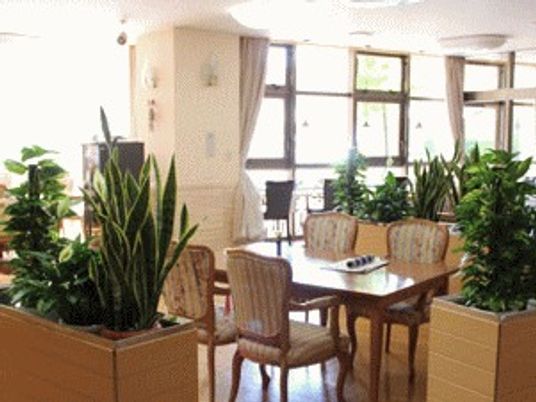 植物がたくさんある食堂の様子。たくさんの人が利用できる広めの空間