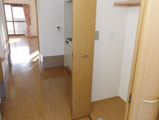 クローゼットやキッチンが付いたフローリングの部屋には大きな窓があり、ピンクのカーテンが付いている。