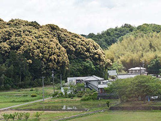 山々に囲まれた施設の遠景。周りが田んぼに囲まれた静かな場所