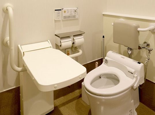 体を預けられる幅広の手すりがついたトイレの様子。介護仕様のトイレ