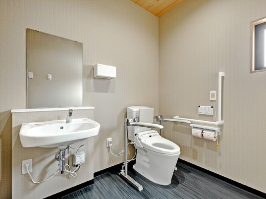 広いトイレには手すりと背もたれ月の便座が付いたトイレがあり、壁にもエル字型の手すりや呼び出しボタンがある。