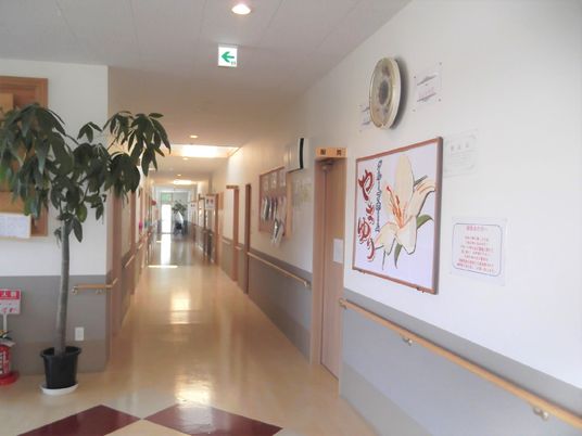 手すりがついた安全性の高い住居の様子。観葉植物や絵画が置かれている廊下