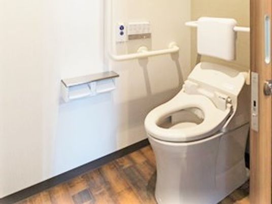 両側に手すりが付いているトイレ。車いすのまま入れる引き戸使用のスペース