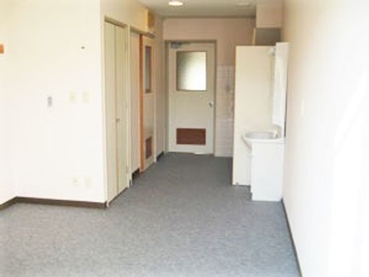 カーペット敷きの居室は白い壁で洗面所が付き、家具は置かれていない。