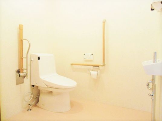 トイレには手すりが両サイドにつき、片方は可動式。広い介助スペースもある。