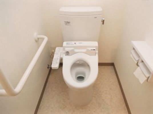 温水便座が付いたトイレにはエル字型の手すりも設置されている。