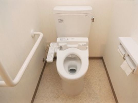 温水便座が付いたトイレにはエル字型の手すりも設置されている。