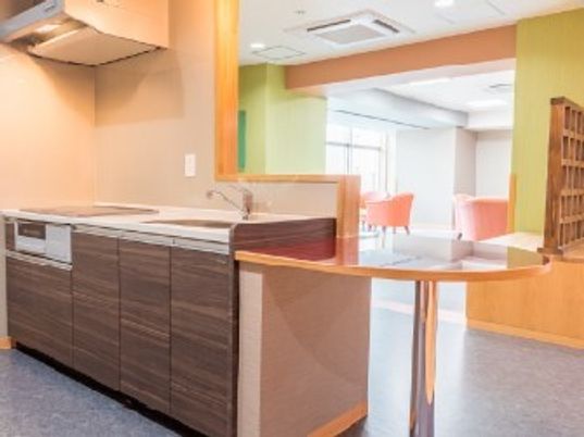 キッチンが写っている写真。本格的なシステムキッチンと奥のほうにリビング