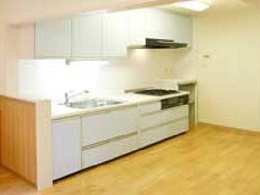施設内の部屋に取り付けられているシステムキッチン。本格的なデザインで大きめのキッチンの様子