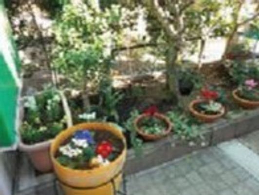 植物がたくさん植えられている施設内の中庭の様子。土がある場所