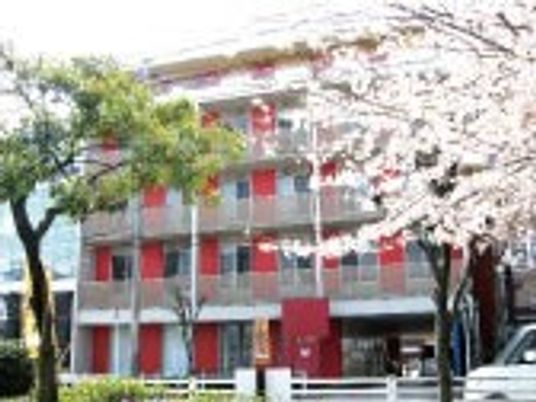桜の花が咲いている施設の正面。印象的な色合いの建物が写っている