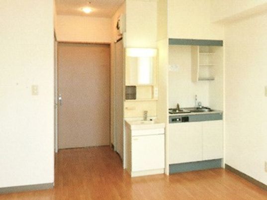 キッチンと洗面所が並んで設置され、左側には居室のドアがある。