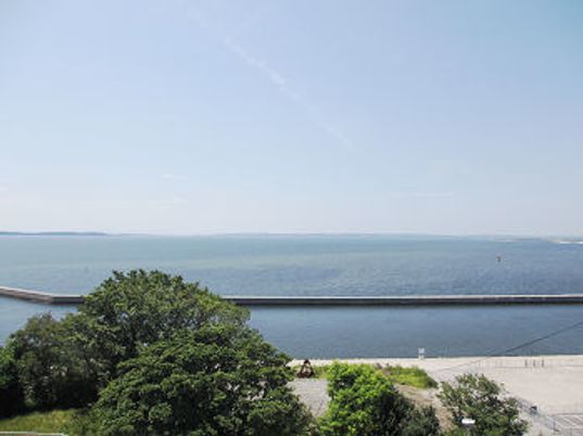 青い海がどこまでも広がっている。手前には濃い緑が印象的な木々がある。