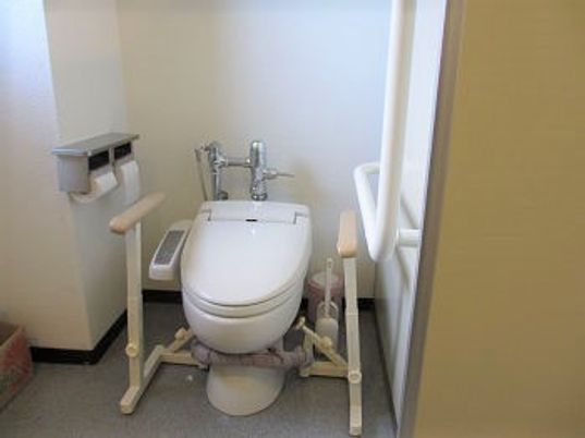 手すりが付いたトイレは引き戸で段差もなく、安全に配慮。壁にもエル字型の手すりがある。