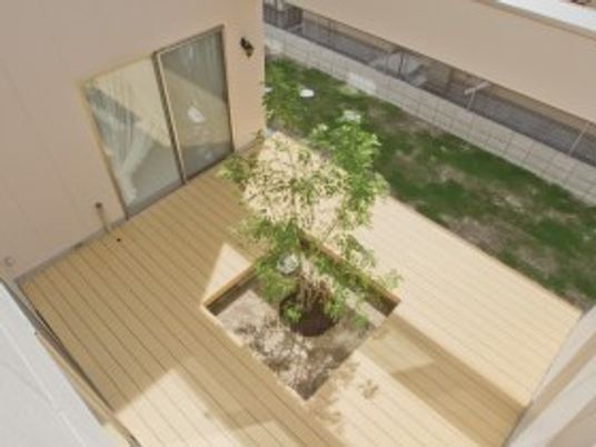 ウッドデッキが敷かれた中庭には中央に木が植えられている。