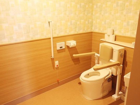 両側に手すりが取り付けてある高齢者向けのトイレ。車いすのまま入れる広さのトイレの様子