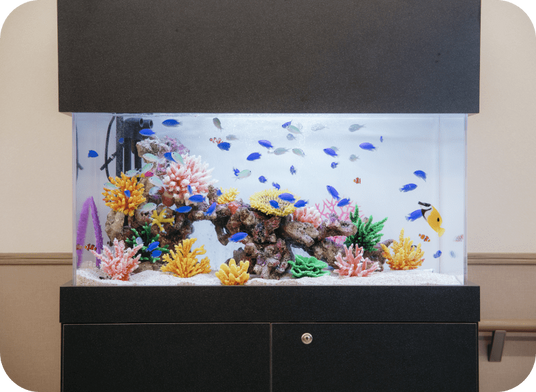 水槽に色とりどりの魚