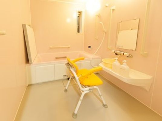 浴室には家庭サイズの浴槽があり、シャワーや浴槽の周りには手すりが設置されている。