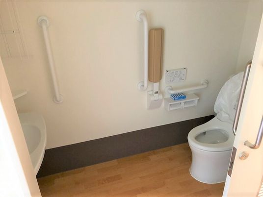 手すりが取り付けられているトイレの様子。左側に洗面台があるトイレ