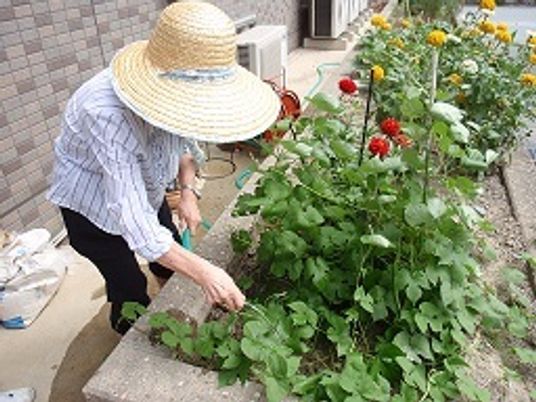 花壇の手入れをする女性入居者。麦わら帽子にラフなシャツ、黒いズボンという動きやすい恰好をしている。