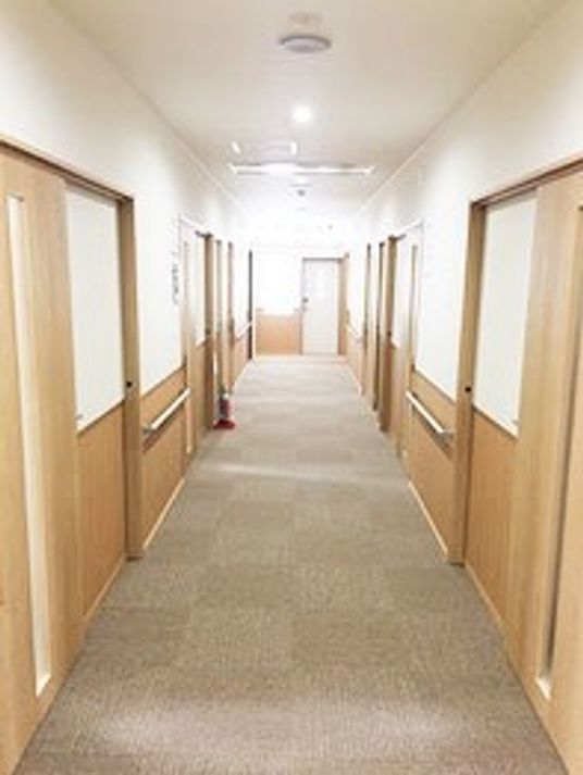 絨毯時期の廊下とその両側の個室のドア。ドア以外の場所は手すりがついている
