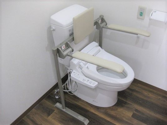 背もたれと可動式の手すりが付いたトイレ。床はフローリングで介助スペースもある。
